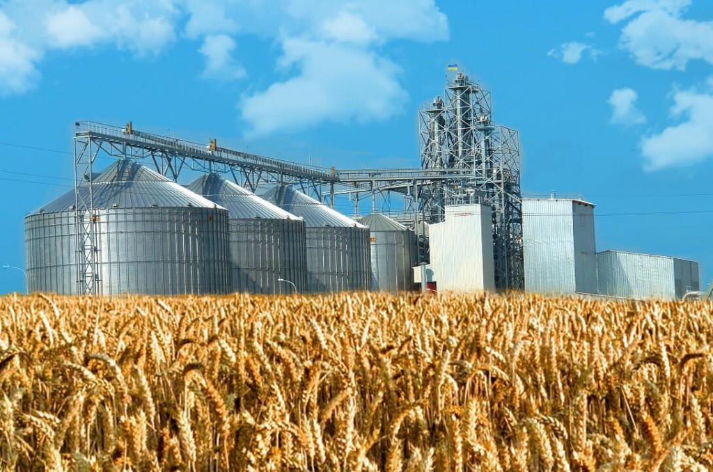 Технология производства, экспорт и управление качеством зерна и зернопродуктов (Биотехнологии производства, хранения и переработки зерна и зернопродуктов)